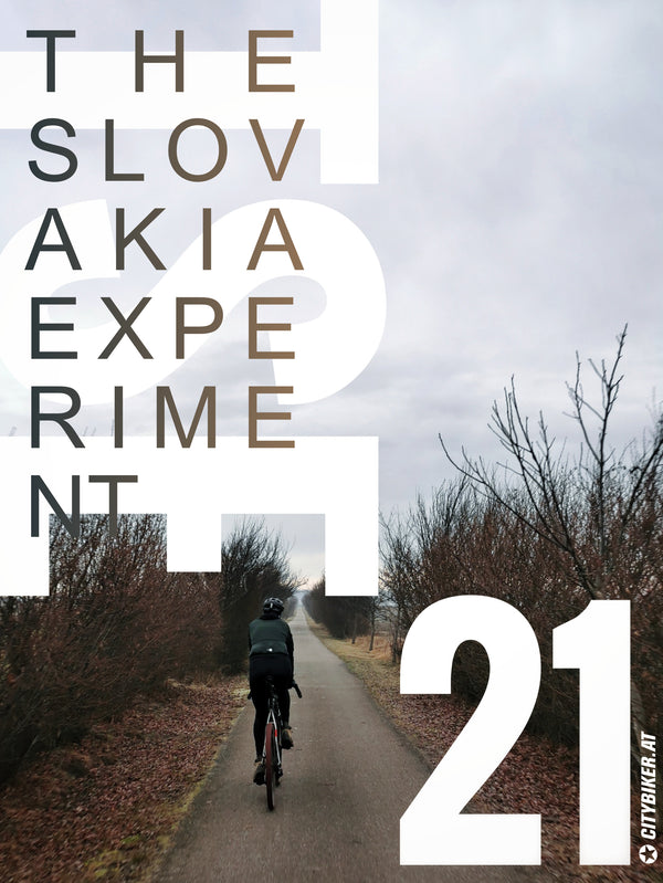 The Slovakia Experiment 21