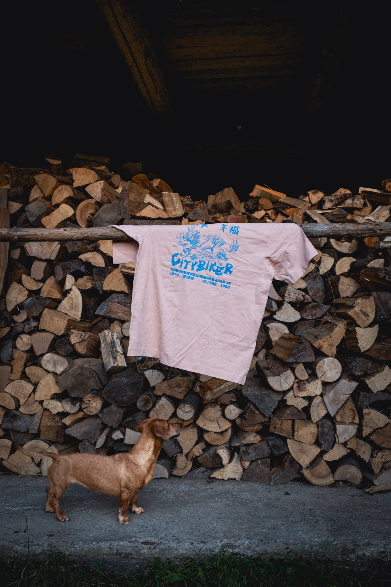 citybiker 1070 Citybiker Cycling Club "Take Away" T-Shirt – Citybiker.at