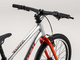 Trek Wahoo 20"